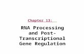 Chapter 13: RNA Processing and Post-Transcriptional Gene Regulation.