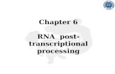 Chapter 6 RNA post-transcriptional processing. RNA Processing Very few RNA molecules are transcribed directly into the final mature RNA. Most newly transcribed.