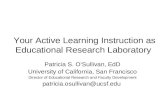 Your Active Learning Instruction as Educational Research Laboratory Patricia S. O’Sullivan, EdD University of California, San Francisco Director of Educational.
