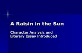 A Raisin in the Sun Character Analysis and Literary Essay Introduced.