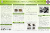 Plant fiber reinforced geopolymer – A green and high performance cementitious material Rui Chen (Graduate Student), Saeed Ahmari (Graduate Student), Mark.