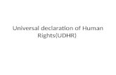 Universal declaration of Human Rights(UDHR). “All human beings are born free and equal in dignity and rights.” (article 1)