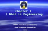 Chapter 1 What is Engineering ? PREP004 – Introduction to Applied Engineering College of Engineering - University of Hail Fall 2009.