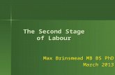 The Second Stage of Labour Max Brinsmead MB BS PhD March 2013.