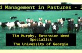 Weed Management in Pastures - 2008 Tim Murphy, Extension Weed Specialist The University of Georgia.