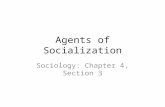 Agents of Socialization Sociology: Chapter 4, Section 3.