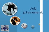 Www.themegallery.com LOGO Job placement. Plan:  Profession of a programmer – what is it?  Some methods of finding a job  Job interview  Revision.