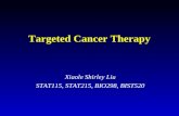 Targeted Cancer Therapy Xiaole Shirley Liu STAT115, STAT215, BIO298, BIST520.
