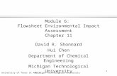 University of Texas at AustinMichigan Technological University 1 Module 6: Flowsheet Environmental Impact Assessment Chapter 11 David R. Shonnard Hui Chen.
