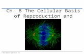 Ch. 8 The Cellular Basis of Reproduction and Inheritance © 2012 Pearson Education, Inc.