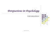 Y.Quaintrell, 2009 Perspectives in Psychology Introduction.