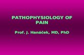 PATHOPHYSIOLOGY OF PAIN Prof. J. Hanáček, MD, PhD.