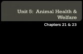 Chapters 21 & 23.  Understanding of the role of prevention in animal health  Knowledge of approaches to animal health, medication administrations, and.