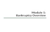 Module 1: Bankruptcy Overview. Pro Bono Bankruptcy Training Program Material This presentation has been prepared by the National Consumer Law Center,