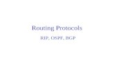 Routing Protocols RIP, OSPF, BGP. A Routing Protocol’s Job Is to Find a “Best” Path between Any Pair of Nodes Routers in a network exchange their routing.