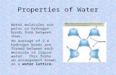 Properties of Water Water molecules are polar so hydrogen bonds form between them. An average of 3.4 hydrogen bonds are formed between each molecule in.