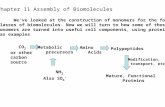 Chapter 11 Assembly of Biomolecules We’ve looked at the construction of monomers for the four classes of biomolecules. Now we will turn to how some of.