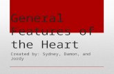 General Features of the Heart Created by: Sydney, Damon, and Jordy.
