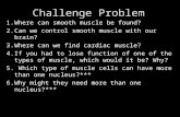 Challenge Problem 1.Where can smooth muscle be found? 2.Can we control smooth muscle with our brain? 3.Where can we find cardiac muscle? 4.If you had to.