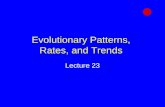 Evolutionary Patterns, Rates, and Trends Lecture 23.