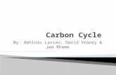 By: Abhinav Laxsav, David Yeaney & Jen Rhame.  The carbon cycle is the biogeochemical cycle by which carbon is exchanged among the biosphere, geosphere,