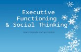 Executive Functioning & Social Thinking How it impacts one’s perception.