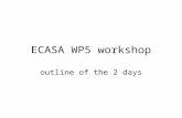 ECASA WP5 workshop outline of the 2 days. Outline of workshop General quality assurance Matching indicators and sites Station selection criteria Protocols.