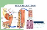 MALABSORPTION Dr. WM Simmonds Internal Medicine (Gastroenterology) 15 August 2011.