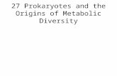 27 Prokaryotes and the Origins of Metabolic Diversity.