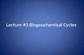 Lecture #3 Biogeochemical Cycles. Material Cycles Hydrologic Cycle - path of water through the environment – Solar energy continually evaporates water.