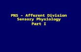 PNS – Afferent Division Sensory Physiology Part I.