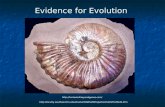 Evidence for Evolution  20Properties%20of%20Life.htm.