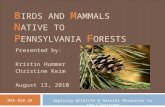 B IRDS AND M AMMALS N ATIVE TO P ENNSYLVANIA F ORESTS Presented by: Kristin Hummer Christine Keim August 13, 2010 Applying Wildlife & Natural Resources.