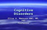 Cognitive Disorders Elisa A. Mancuso RNC, MS, FNS Professor.