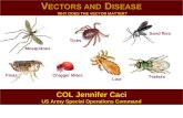 COL Jennifer Caci US Army Special Operations Command Mosquitoes Lice Ticks Sand flies Fleas Tsetses Chigger Mites WHY DOES THE VECTOR MATTER?