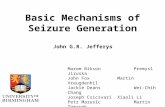 Basic Mechanisms of Seizure Generation John G.R. Jefferys Marom BiksonPremysl Jiruska John FoxMartin Vreugdenhil Jackie DeansWei-Chih Chang Joseph CsicsvariXiaoli.