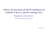 M. Djordjevic 1 Effect of dynamical QCD medium on radiative heavy quark energy loss Magdalena Djordjevic The Ohio State University.