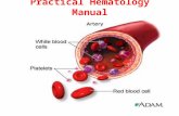 Practical Hematology Manual. Whole blood 8% of body weight Plasma 55% Cells 45% Water 91.5 % Plasma protein 7% Other solutes 1.5% Albumin 54% Globulin.