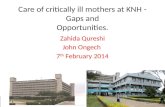 Care of critically ill mothers at KNH - Gaps and Opportunities. Zahida Qureshi John Ongech 7 th February 2014.