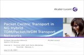Packet Centric Transport in NG Hybrid TDM/Packet/WDM Transport Networks Enrique Hernandez-Valencia Alcatel-Lucent Optics CTO Group Internet 2 - Summer.