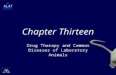 Chapter Thirteen Drug Therapy and Common Diseases of Laboratory Animals.