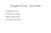Digestive System Ingestion Processing Absorption Elimination.