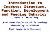 Introduction to Insects: Structure, Function, Development and Feeding Behavior Thomas J. Weissling Assistant Professor of Entomology University of Florida.