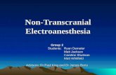 Non-Transcranial Electroanesthesia Group 2 Students: Ryan Demeter Students: Ryan Demeter Matt Jackson Caroline Shulman Matt Whitfield Advisors: Dr Paul.