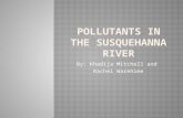 By: Khadija Mitchell and Rachel Warehime. Discovering the pollutants in the river that have bad effects on the environment and trying to make a change.