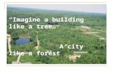 “Imagine a building like a tree… A city like a forest”