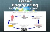 Tissue Engineering By: Chris Morino University of Rhode Island, Biomedical Engineering, BME 181.