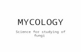 MYCOLOGY Science for studying of fungi. –To impart sufficient basic science of the medically important fungi to assist you in diagnosing mycotic diseases.