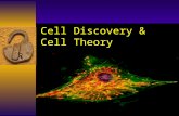 Cell Discovery & Cell Theory. It all started with an invention….  The first microscope –Zacharias Jansen, 1595, Middleburg, Holland –It launched great.