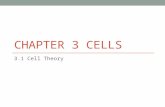 CHAPTER 3 CELLS 3.1 Cell Theory. KEY CONCEPT Cells are the Basic unit of life.
